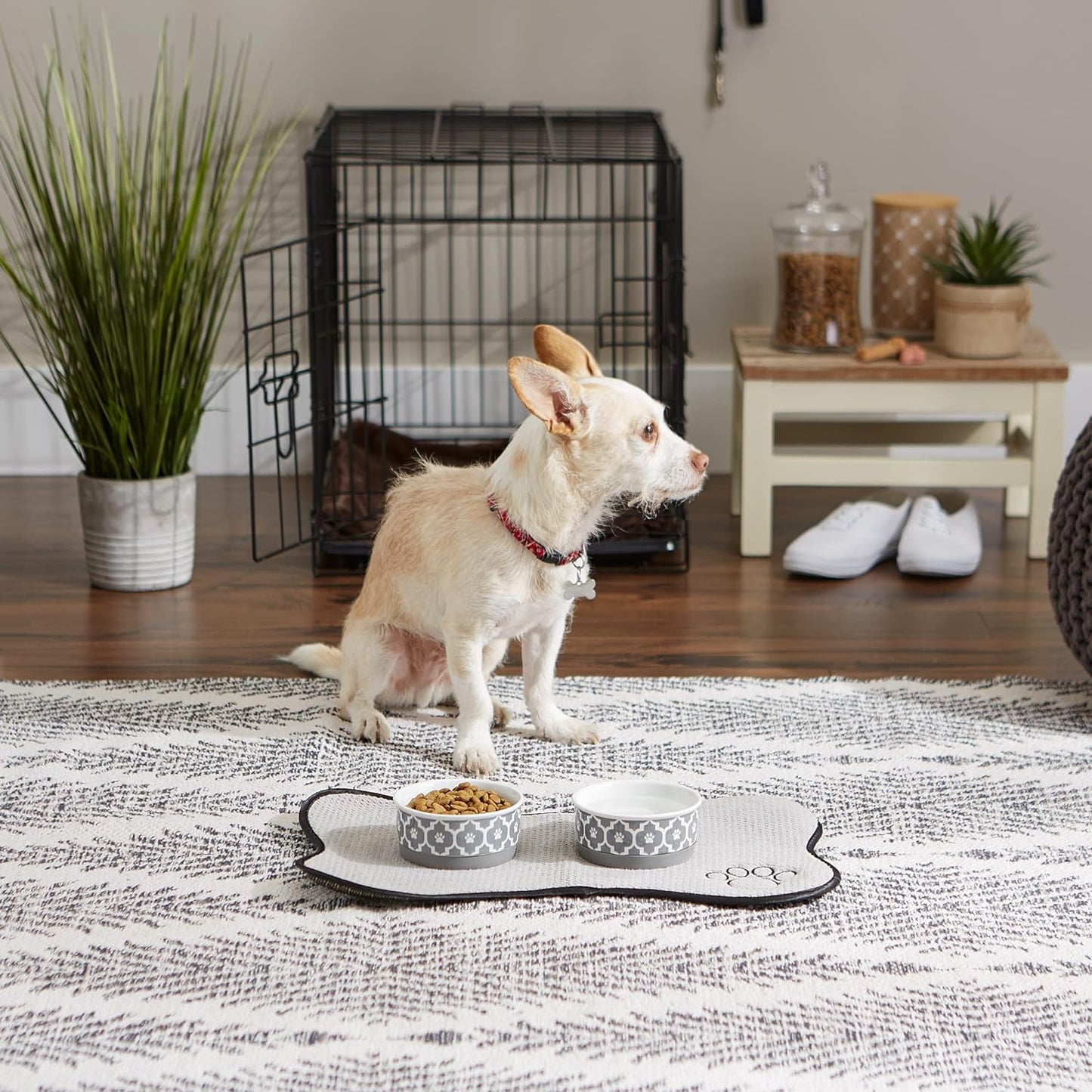 Lattice Collection Small Pet Bowl and Canister Set, Gray, 4.25 x 2 inches, 2 Count